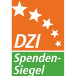 Logo DZI